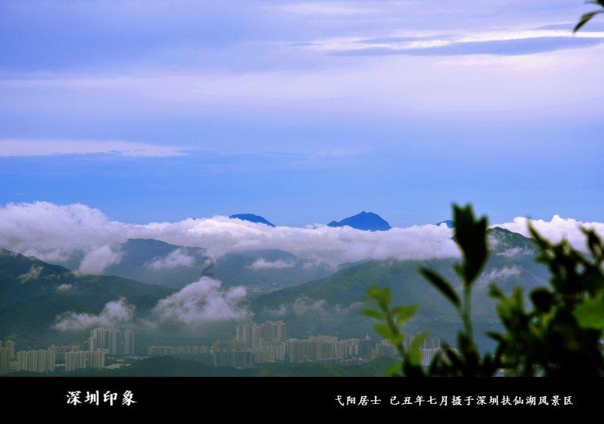 海岛大亨5