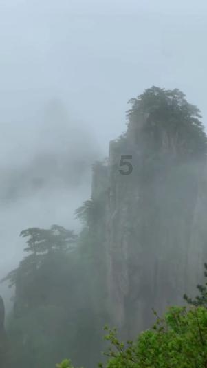 阴森的郊区