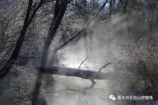 逃出奶油苹果屋