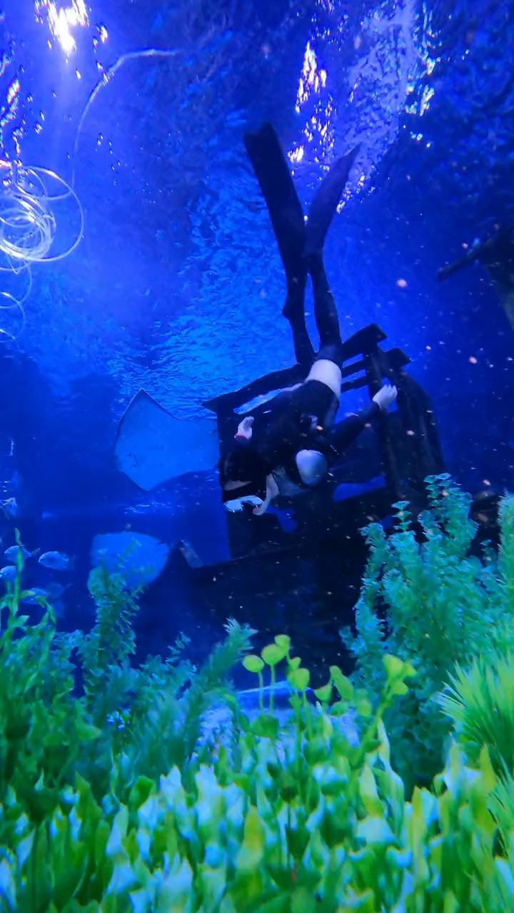 疯狂热气球大冒险