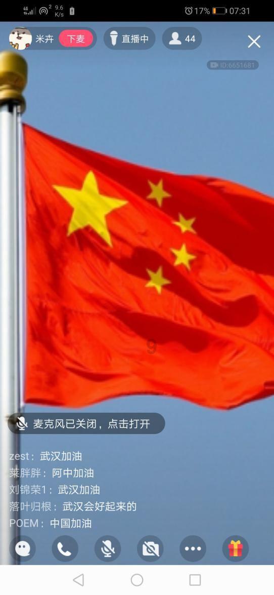 可爱的小考拉