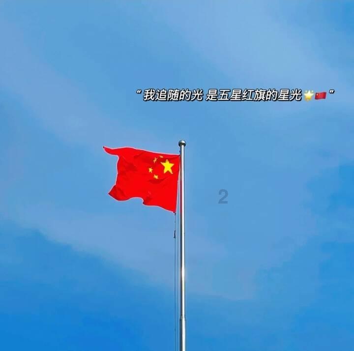 破碎的动物图形