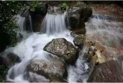虫虫助手下载